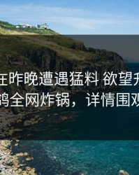 当事人在昨晚遭遇猛料 欲望升腾，电鸽全网炸锅，详情围观