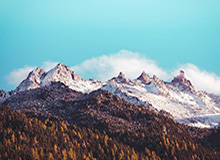 有人把截图发出来了:办公室的沉默背后的幕后操作,终于有人讲清楚了