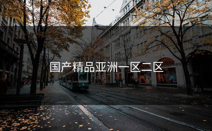 国产精品亚洲一区二区